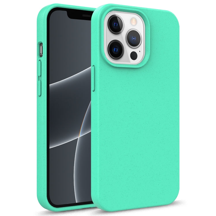 For iPhone 13 Pro Max Starry Series Shockproof Straw Material + TPU Protective Case (Green) - iPhone 13 Pro Max Cases by buy2fix | Online Shopping UK | buy2fix