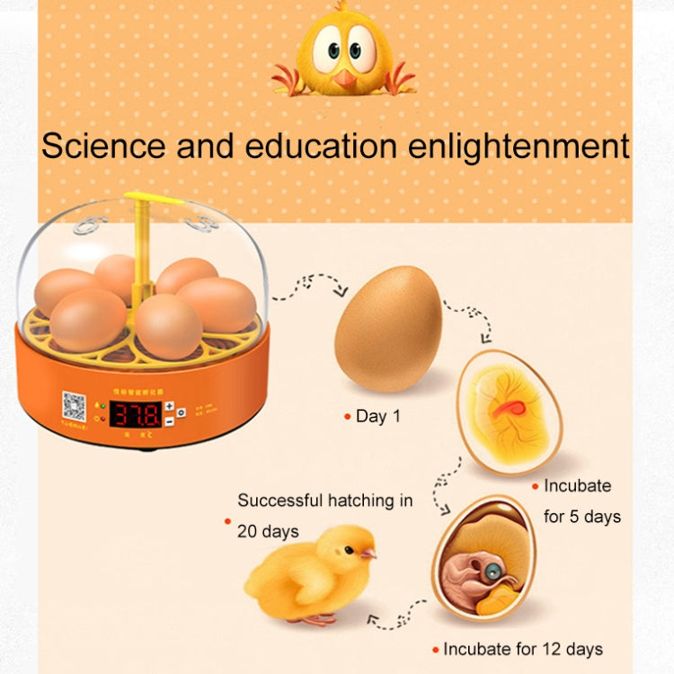 6-Eggs Small Household Experimental Children Smart Chicken Incubators, Spec: Manual US Plug - Incubators by buy2fix | Online Shopping UK | buy2fix