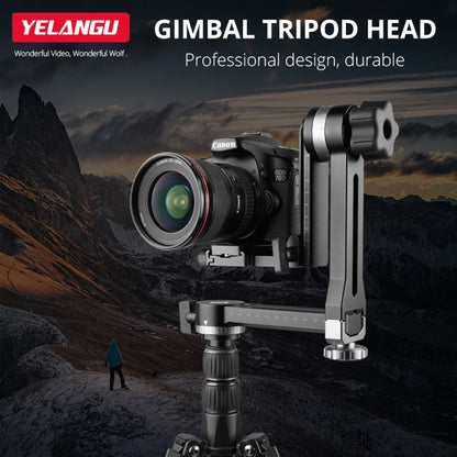 YELANGU A171 YLG0401E-C 360 Degree Rotation Horizontal Cantilever Gimbal Tripod Head for Home DV and SLR Cameras (Black) - Tripod Heads by YELANGU | Online Shopping UK | buy2fix