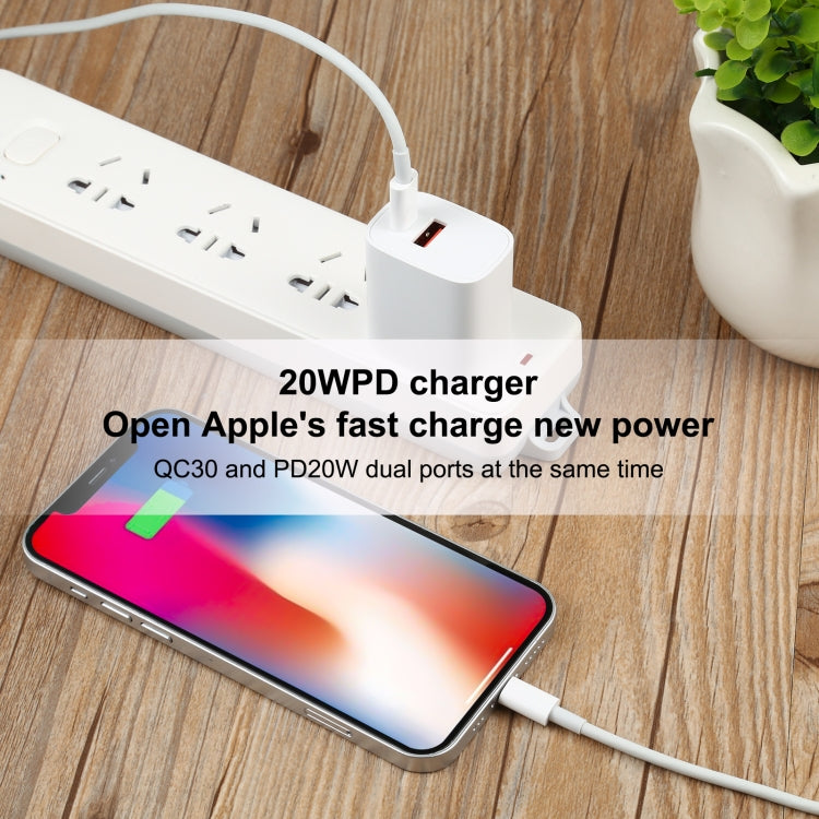 U087 20W USB-C / Type-C + USB Ports Charger with 100W Type-C to 8 Pin Fast Charging Cable 2m, US Plug - Apple Accessories by buy2fix | Online Shopping UK | buy2fix