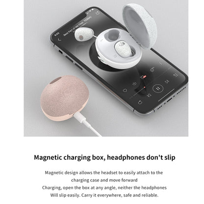 Calante T2S 5D Sound Effect Bluetooth 5.0 Wireless Bluetooth Earphone with Magnetic Charging Box, Support Call & Siri(Black) - Bluetooth Earphone by Galante | Online Shopping UK | buy2fix
