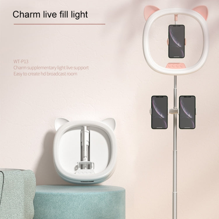 WK WT-P13 Charm Filling Light Live Holder Beauty Eye Care Filling Light (White) - Selfie Light by WK | Online Shopping UK | buy2fix