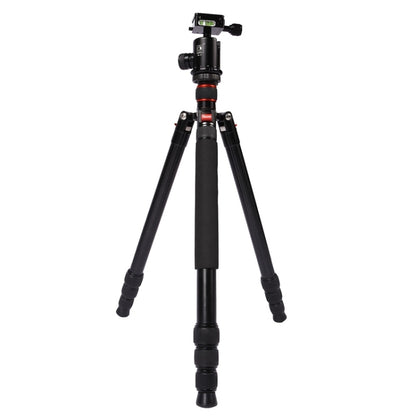 Triopo MT-2804C Adjustable Portable Aluminum Tripod (Gold) with NB-2S Ball Head (Black) for Canon Nikon Sony DSLR Camera - Camera Accessories by TRIOPO | Online Shopping UK | buy2fix