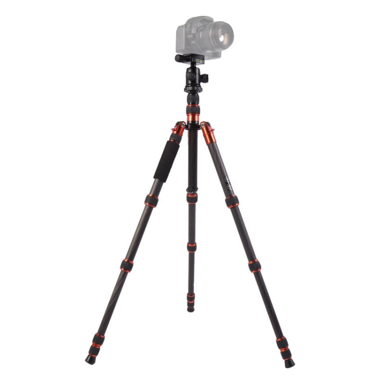 Triopo GT-2505x8.C Adjustable Portable Carbon Fiber Tripod with B-1 Aluminum Ball Head for Canon Nikon Sony DSLR Camera(Black) - Camera Accessories by TRIOPO | Online Shopping UK | buy2fix