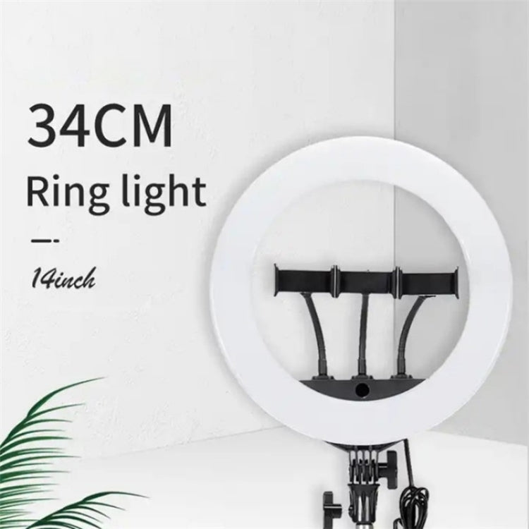 JMARY FM-14R Photography Light 14-inch Live Streaming Ring Light Photography LED Fill Light(EU Plug) -  by Jmary | Online Shopping UK | buy2fix