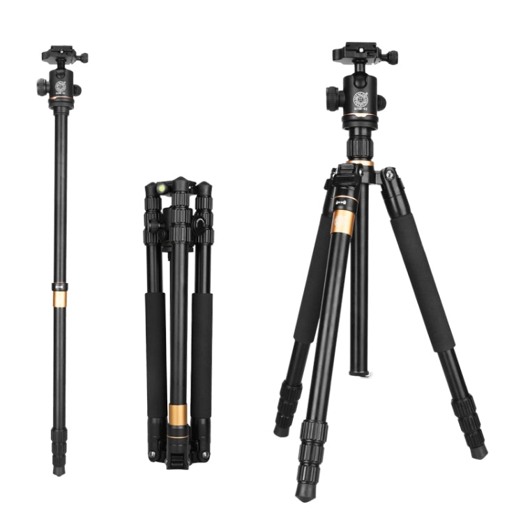 Q222 Portable 4-Section Folding Legs Aluminum Alloy Tripod Mount Monopod Holder with Ball Heads - Camera Accessories by buy2fix | Online Shopping UK | buy2fix