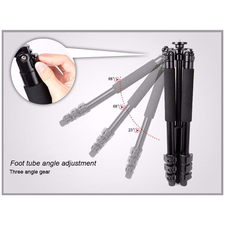 Q620 4-Section Folding Legs Heavy Duty Aluminum Alloy Tripod With Three-Dimensional Damping Tripod Heads - Camera Accessories by buy2fix | Online Shopping UK | buy2fix