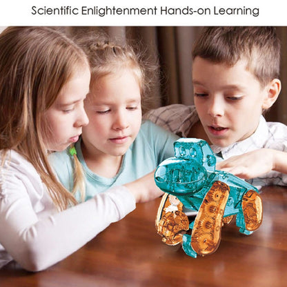 Children Technology Steam Science And Education Toys DIY Toys(Solar Orangutan) - DIY Developmental Toys by buy2fix | Online Shopping UK | buy2fix