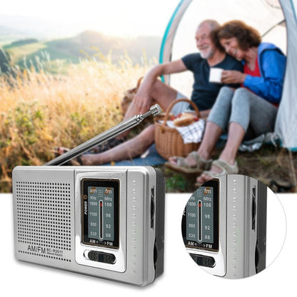 INDIN BC-R2011 AM FM Radio Pocket Mini Wide Reception Telescopic Antenna Radio(Silver Gray) - Consumer Electronics by INDIN | Online Shopping UK | buy2fix