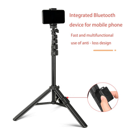 QingZhuangShiDai ZP100B Aluminum Alloy Floor Phone Stand Live Bluetooth Phone Selfie Stick - Selfie Sticks by Qingzhuangshidai | Online Shopping UK | buy2fix