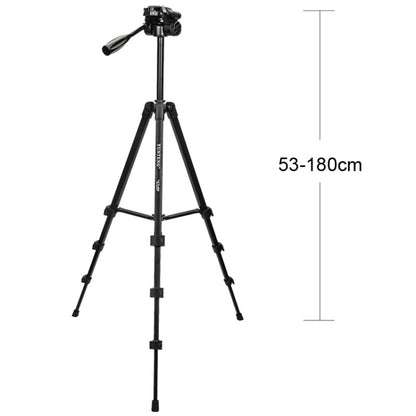 YUNTENG 696 SLR Tripod General Mobile Phone Stand(Black) - Camera Accessories by YUNTENG | Online Shopping UK | buy2fix